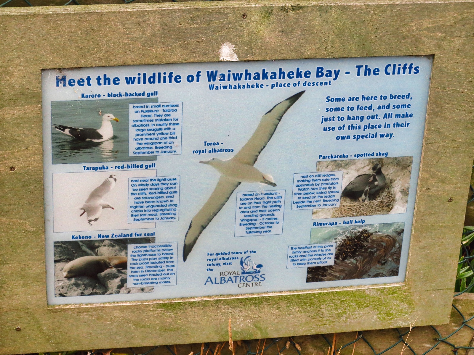 Waiwhakaheke Bay